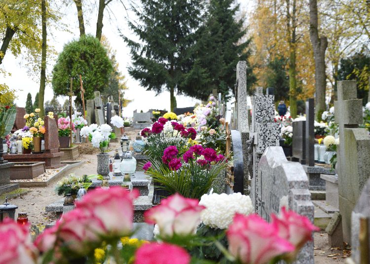 Okradli witkowski cmentarz