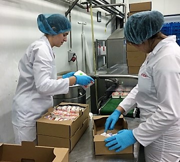 Praktykują w strzałkowskiej mleczarni