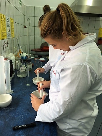 Praktykują w strzałkowskiej mleczarni