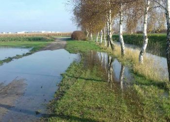 Czy musi dojść do kolejnej tragedii