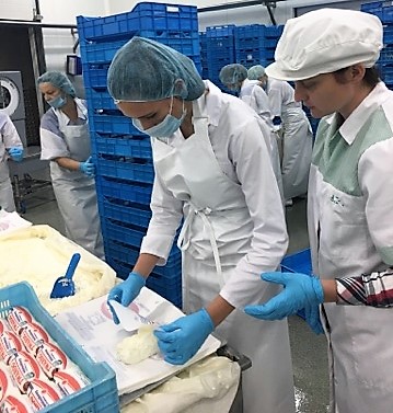 Praktykują w strzałkowskiej mleczarni