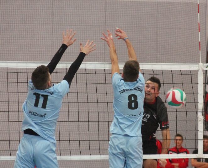 Ligowe wygrane naszych siatkarzy