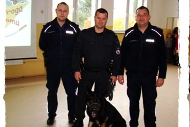 Zobaczyli, co potrafi policyjny pies