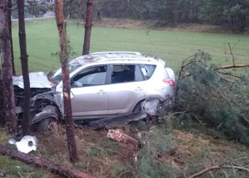 Auto uderzyło w drzewo. Dwie osoby w szpitalu