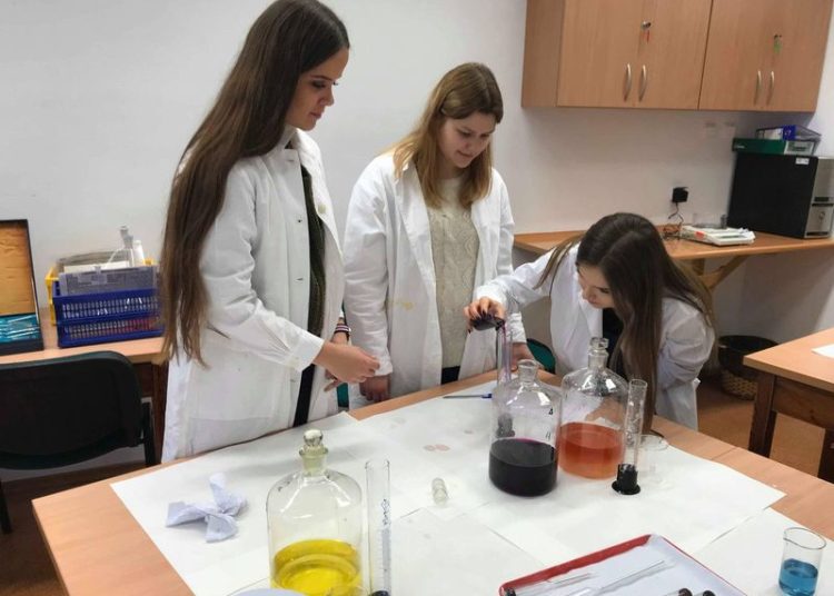 Zajęcia na Uniwersytecie Ekonomicznym w Poznaniu