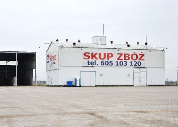 Rozbudowa firmy. Co z drogą?