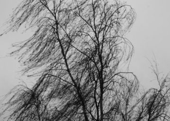 Dzisiaj będzie mocno wiało. Uważajcie!