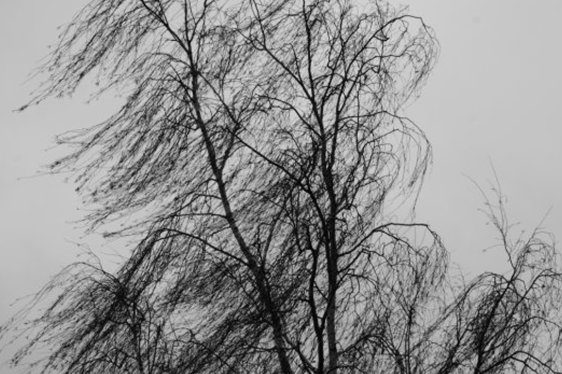 Dzisiaj będzie mocno wiało. Uważajcie!