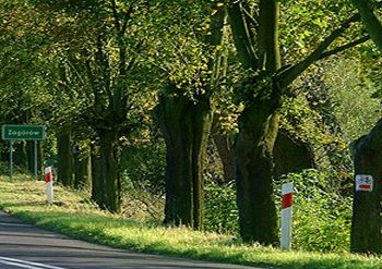 Duża firma powstaje w Zagórowie