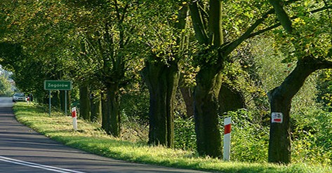 Duża firma powstaje w Zagórowie