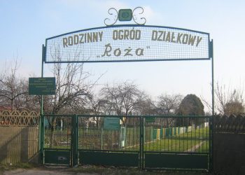 Tragedia na działkach. Mężczyzna nie żyje