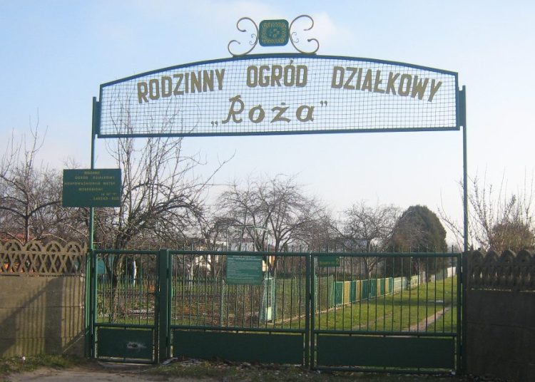 Tragedia na działkach. Mężczyzna nie żyje