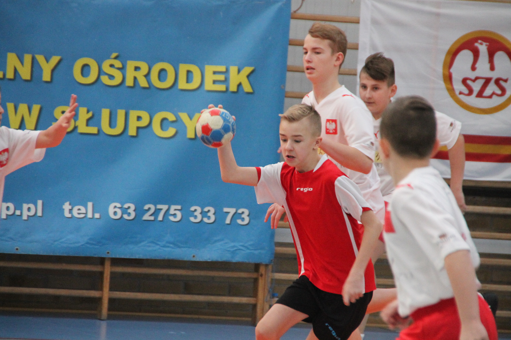 Jedna korona, jedenastu chętnych Zobacz zdjęcia