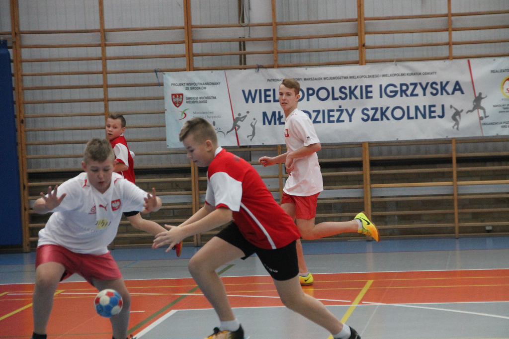 Jedna korona, jedenastu chętnych Zobacz zdjęcia