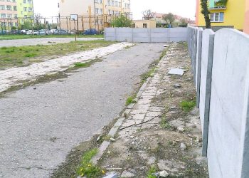 Nie chciał płotu. Kto go namówił?