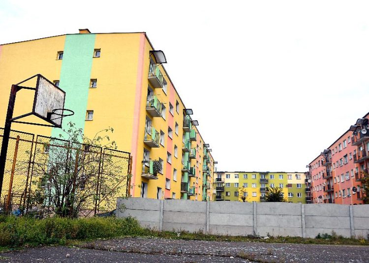 Przyparci do muru. Co dalej?