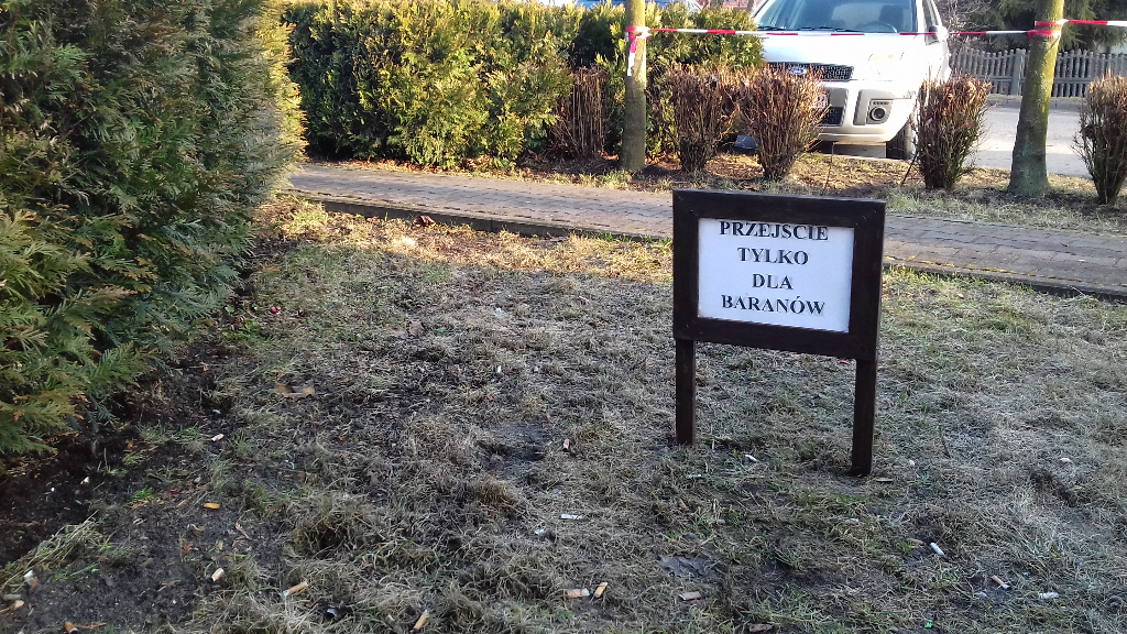 Przejście tylko dla baranów. Tak dbają o zieleń