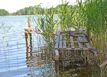 Leśniczówka w centrum historii?