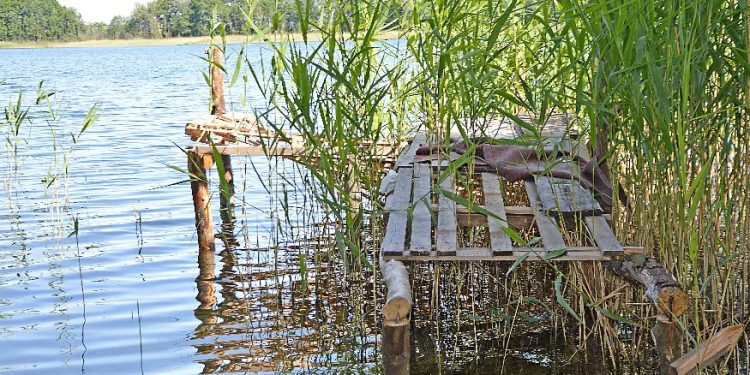 Leśniczówka w centrum historii?