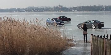 To zdjęcie wywołało lawinę komentarzy