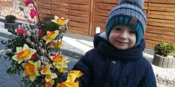 Pokazaliście swoje palmy. Zapraszamy po nagrodę