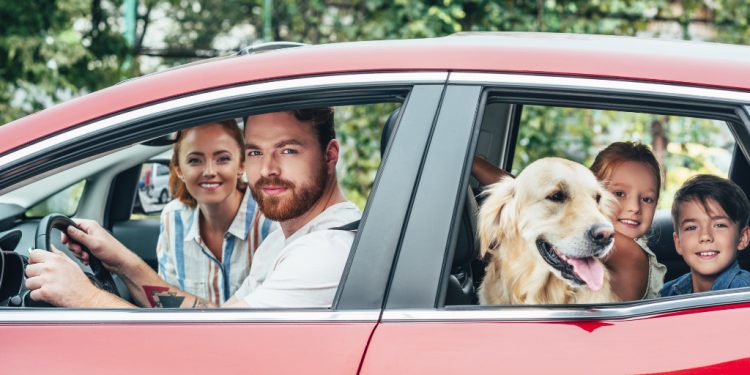 Na co warto zwrócić uwagę wybierając samochód osobowy?