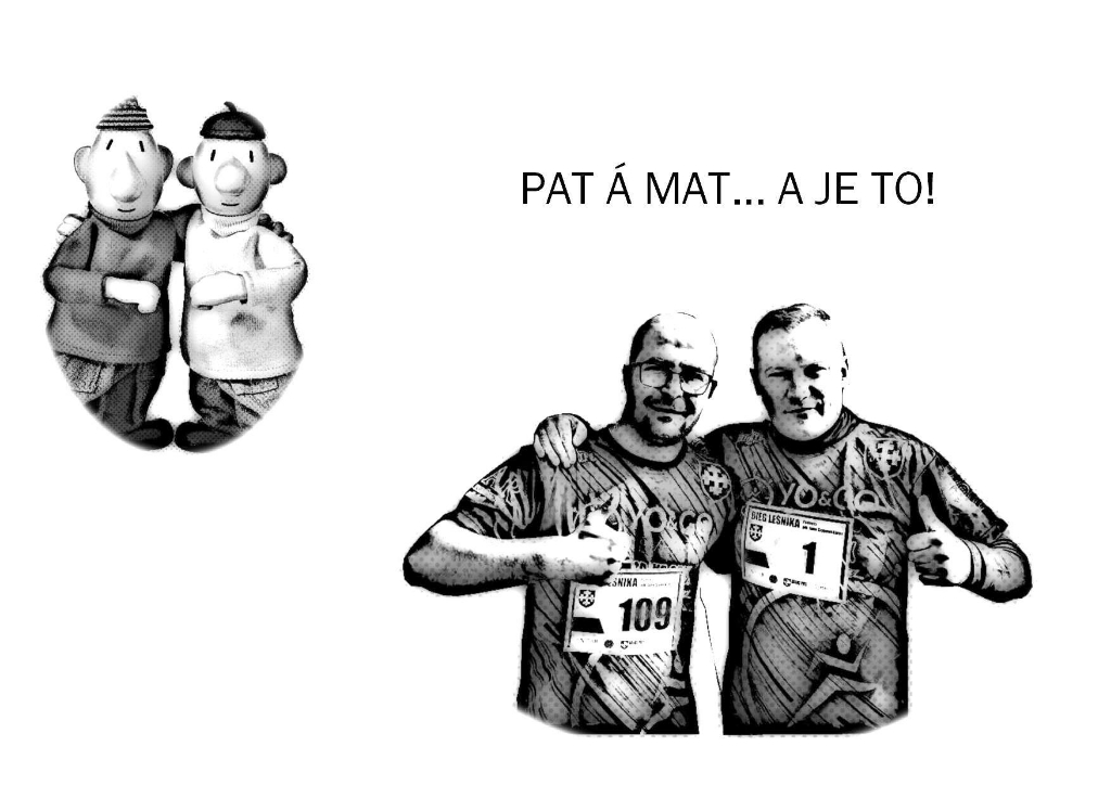 Lokalna polityka w krzywym zwierciadle