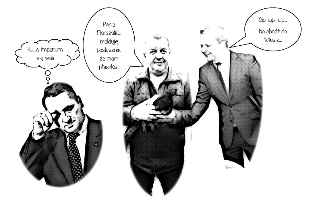 Lokalna polityka w krzywym zwierciadle