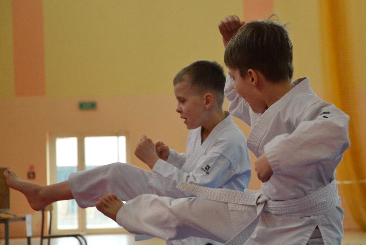 Karatecy walczyli dla Amelki