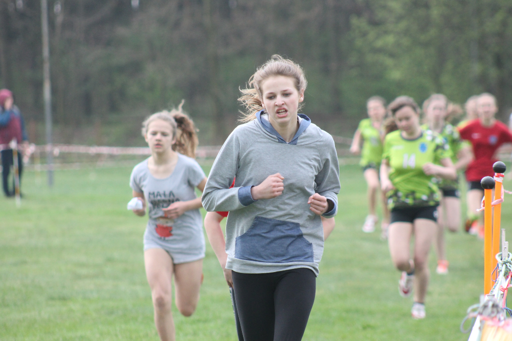 Przełajowe mistrzostwa powiatu ZDJĘCIA