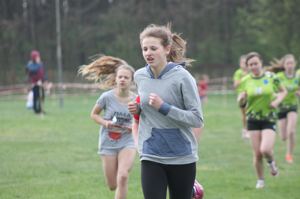 Przełajowe mistrzostwa powiatu ZDJĘCIA