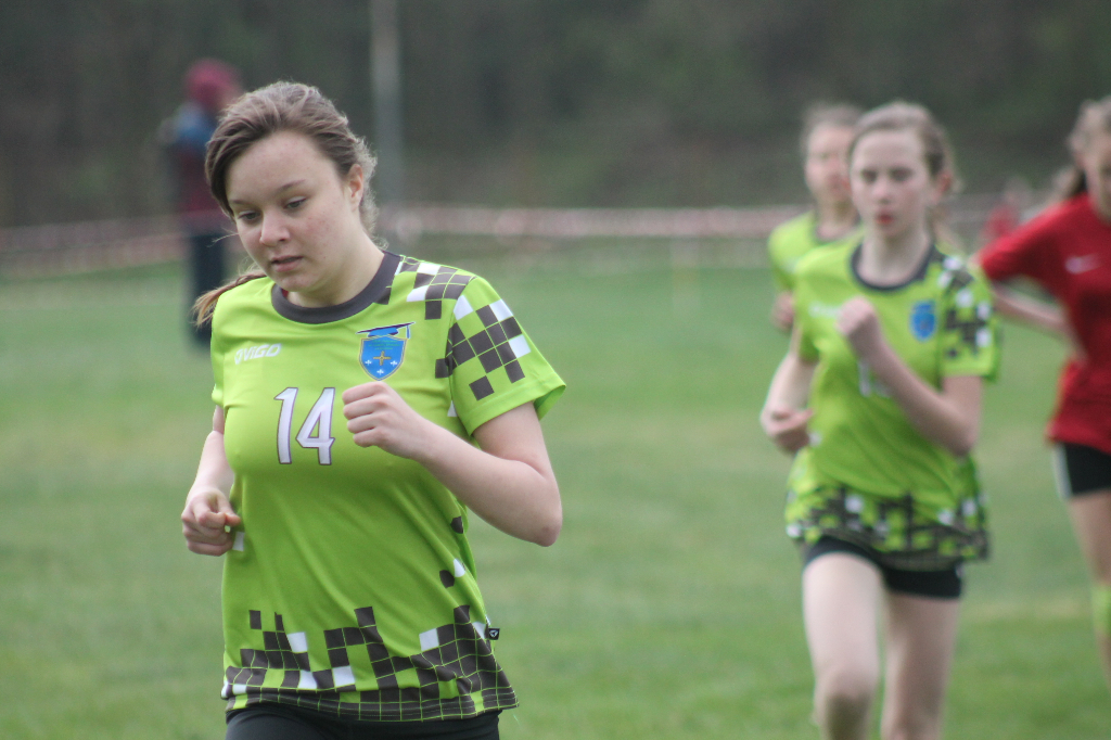 Przełajowe mistrzostwa powiatu ZDJĘCIA