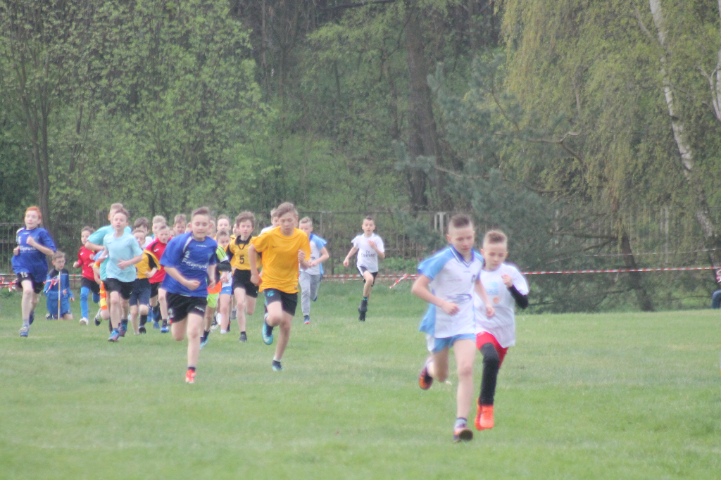 Przełajowe mistrzostwa powiatu ZDJĘCIA