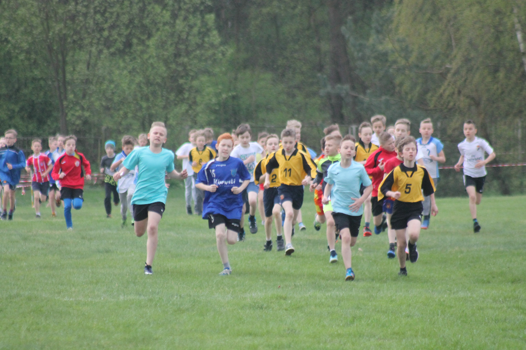 Przełajowe mistrzostwa powiatu ZDJĘCIA