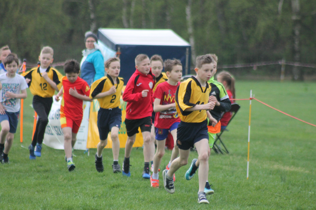 Przełajowe mistrzostwa powiatu ZDJĘCIA