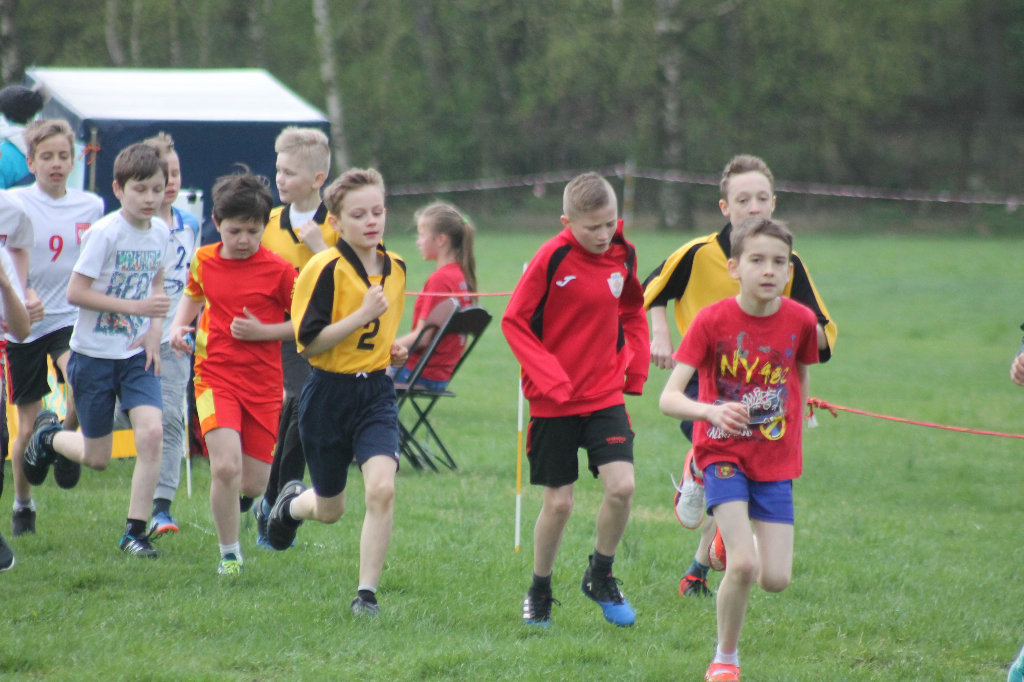 Przełajowe mistrzostwa powiatu ZDJĘCIA