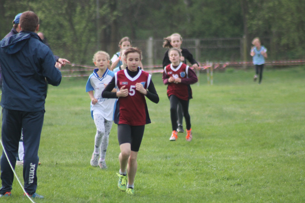 Przełajowe mistrzostwa powiatu ZDJĘCIA