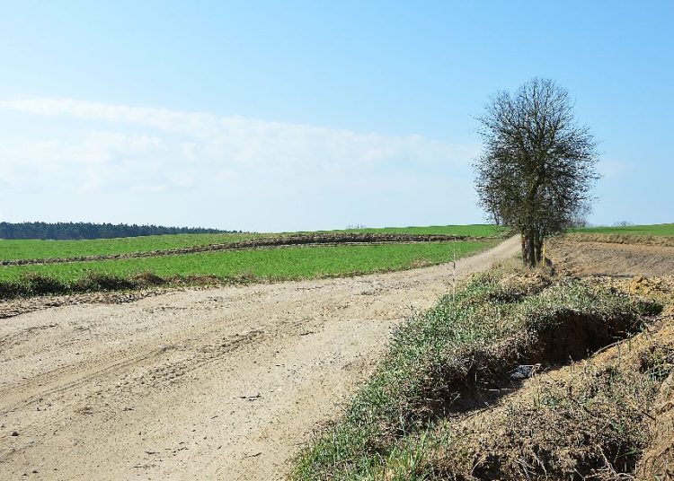 Walka o drogę z wyborami w tle