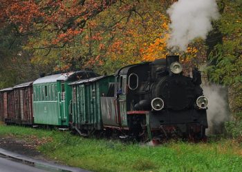 Witkowo pomoże Wąskotorówce