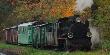 Witkowo pomoże Wąskotorówce