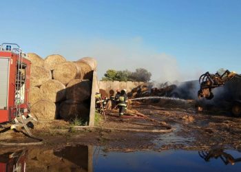 15 godzin gasili pożar w Sierniczu