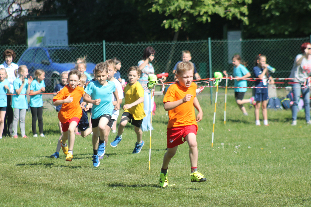 Indywidualne biegi przełajowe w naszym obiektywie