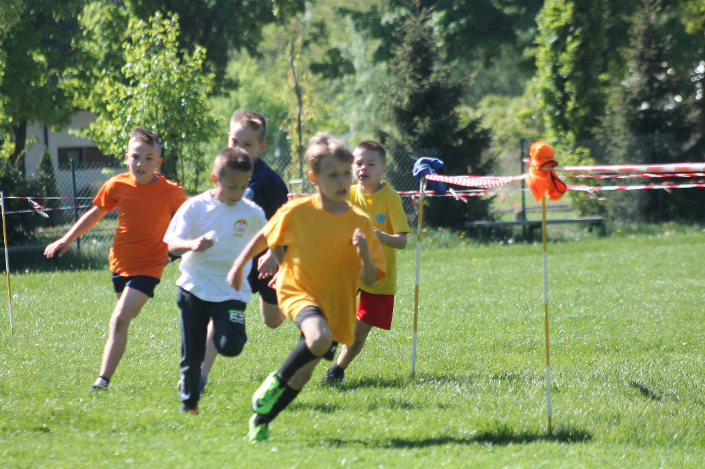 Indywidualne biegi przełajowe w naszym obiektywie