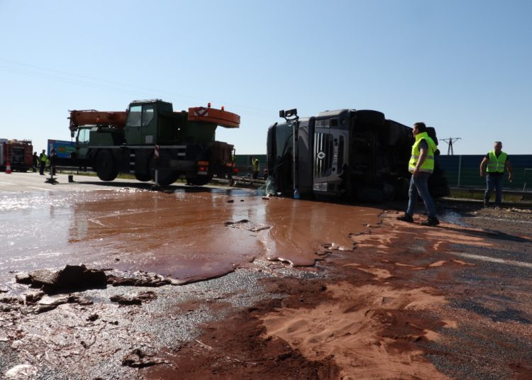Czekolada pod Słupcą – zobacz zdjęcia i film