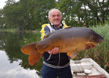 Karp gigant wrócił do jeziora