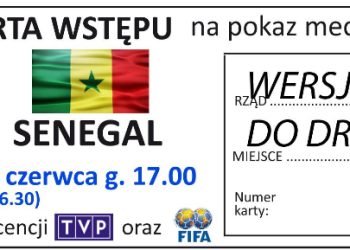 Mistrzostwa Świata na dużym ekranie