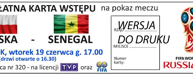 Mistrzostwa Świata na dużym ekranie