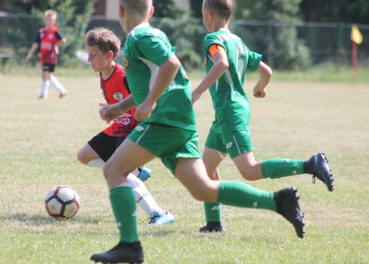 Powołani na Euro Cup