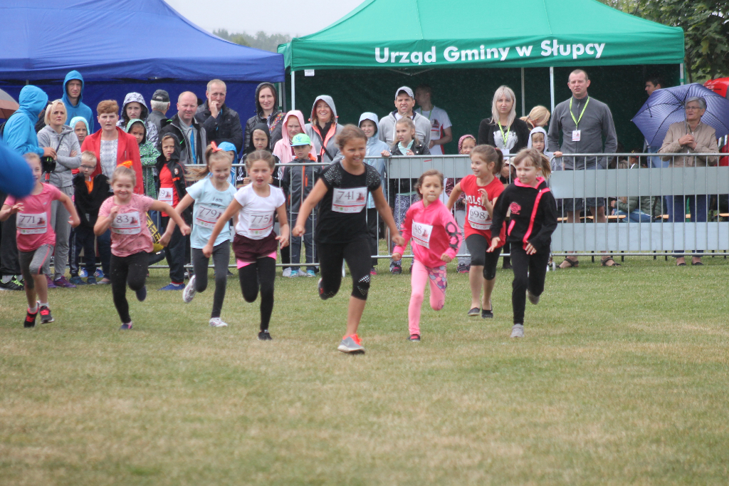 Rekord frekwencji w biegu głównym