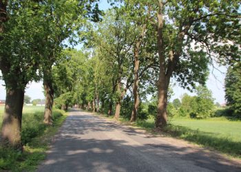 Orchowo: Wyrzucił lampy, robi poza kolejnością